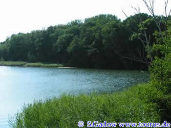 4 Krakower Obersee